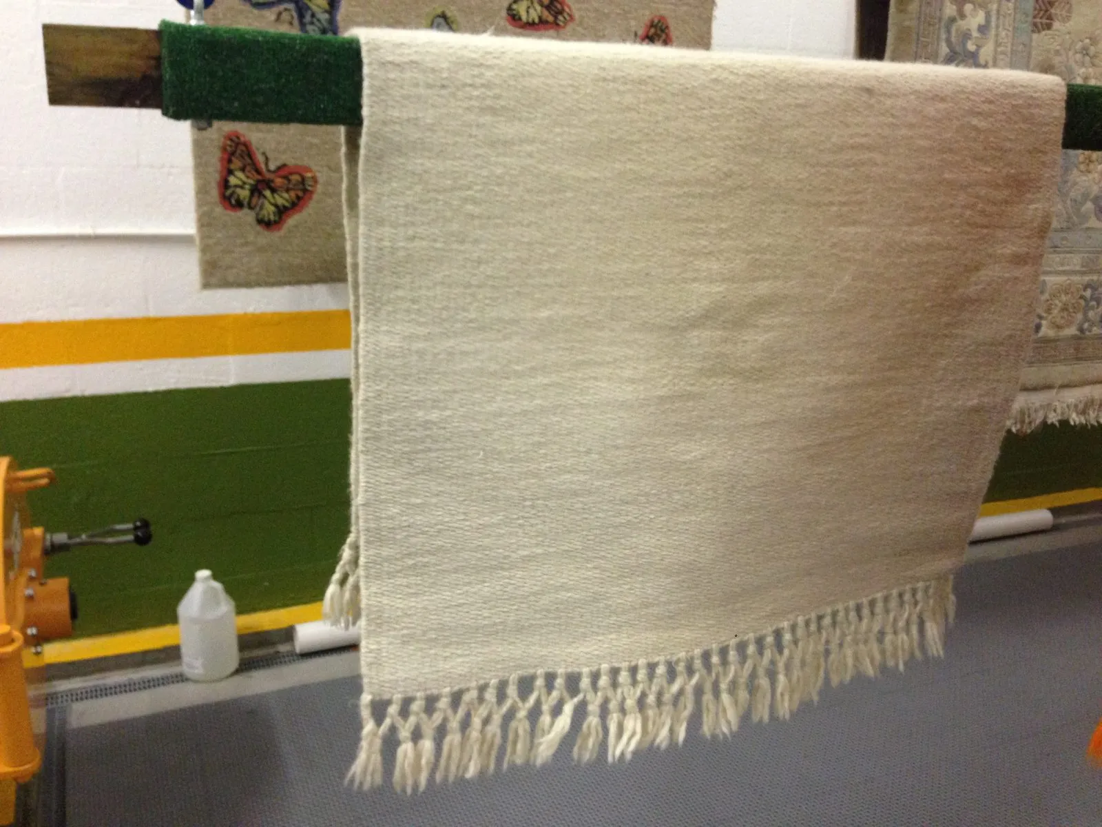 Clean cream wool flatweave rug with bright fringe hanging to dry