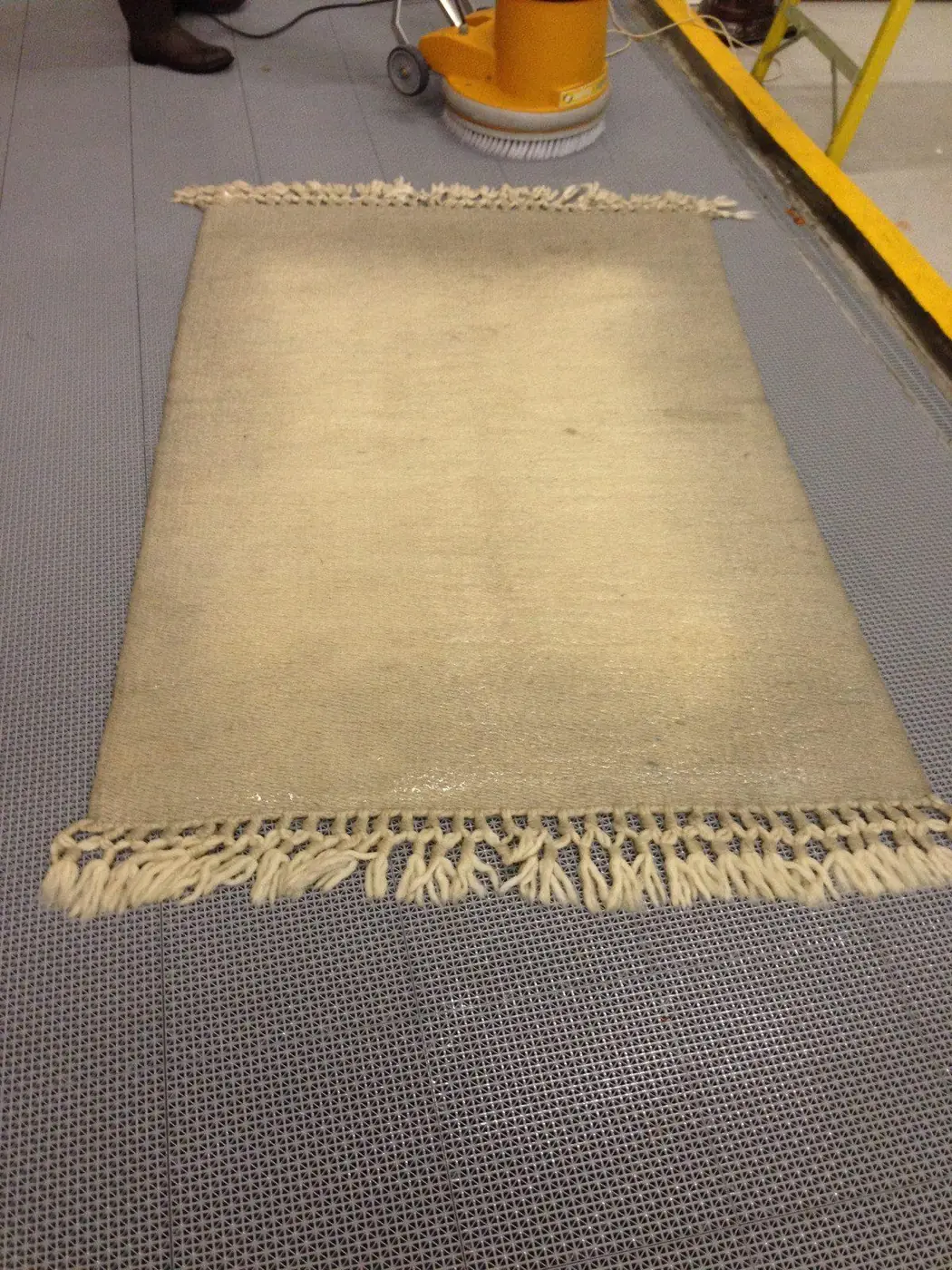 Soiled beige flatweave rug at intake, before washing