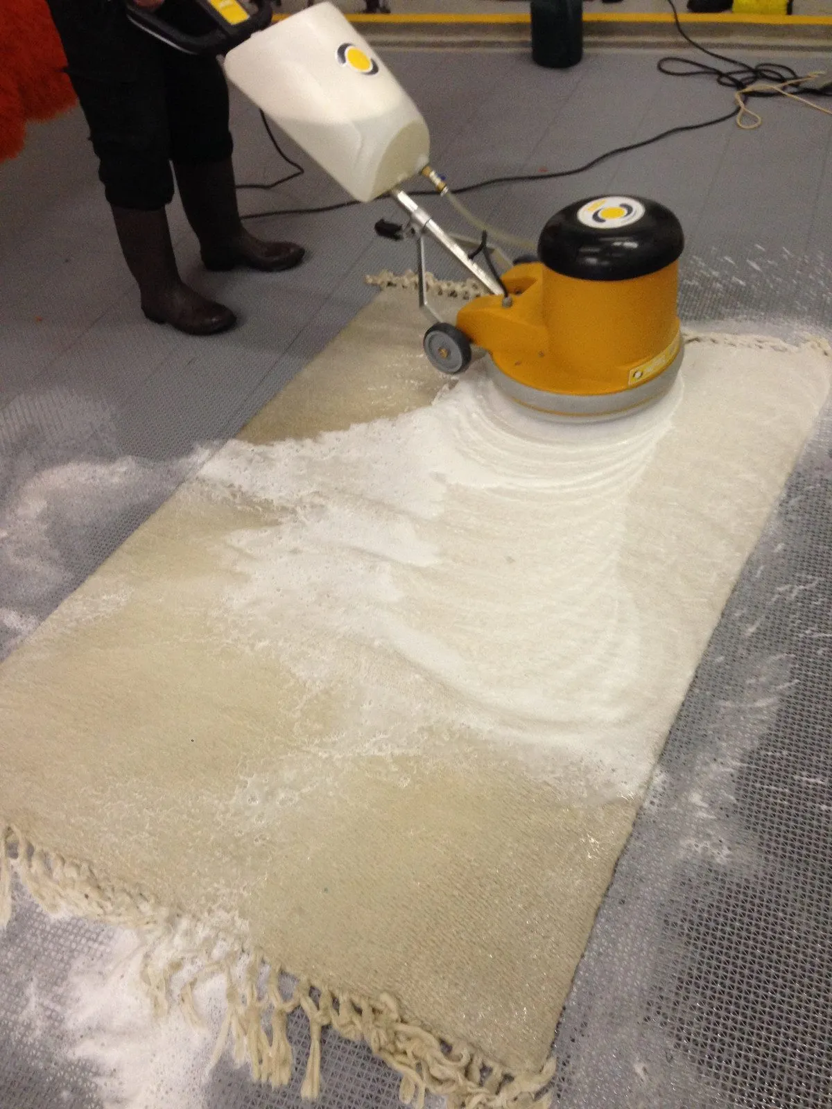 Rotary shampoo machine gently scrubbing a wool rug